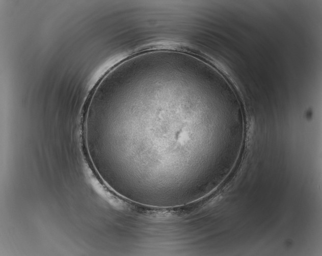 X0000116801042200912181313