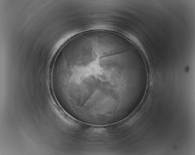 X0000116801043200912181313