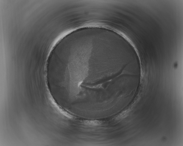 X0000116801045200912181313