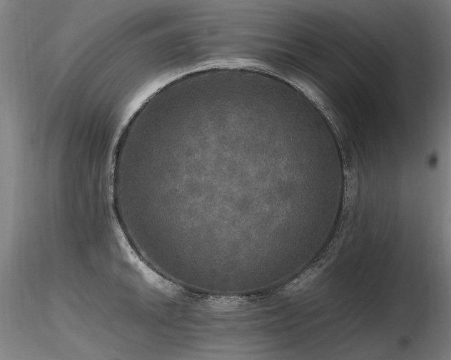 X0000116801046200912181313
