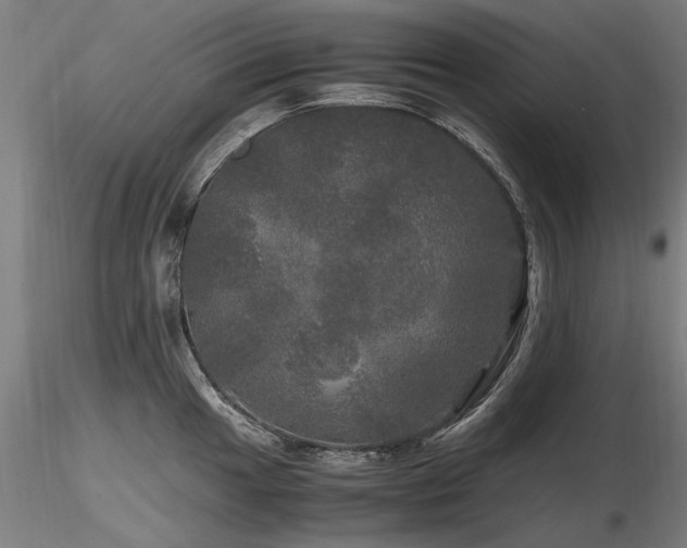 X0000116801049200912181313
