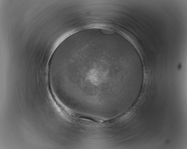 X0000116801050200912181313