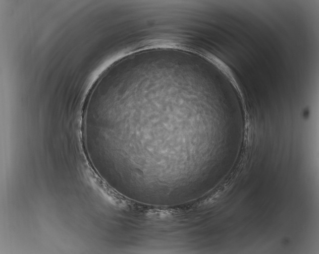 X0000116801051200912181313