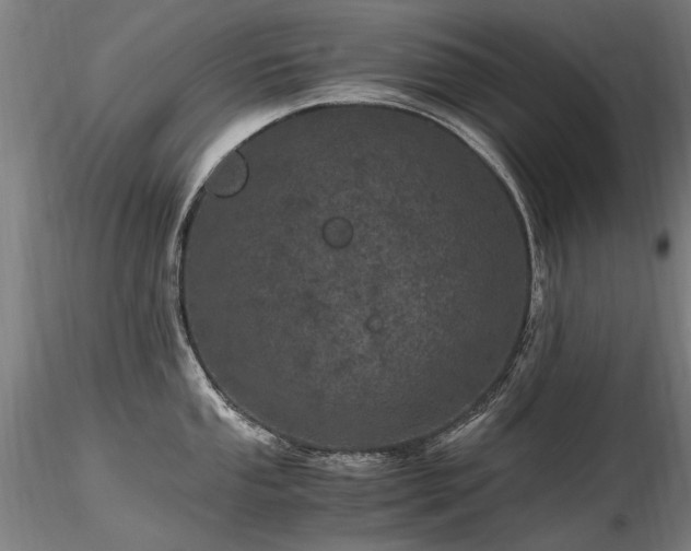 X0000116801053200912181313