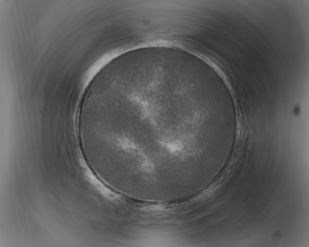 X0000116801054200912181313