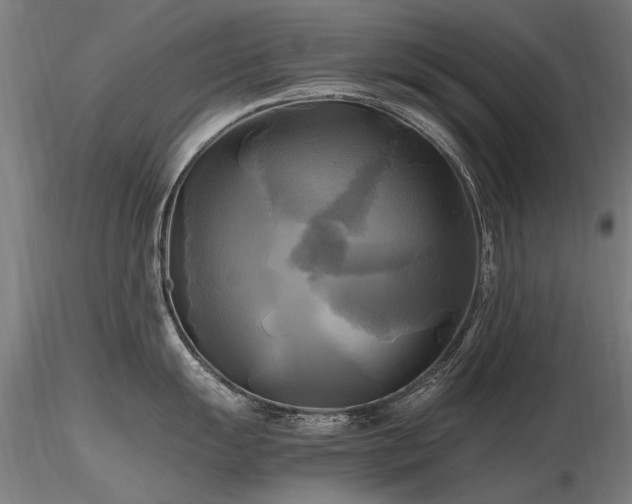 X0000116801055200912181313