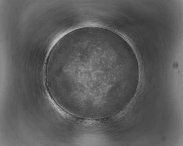 X0000116801056200912181313