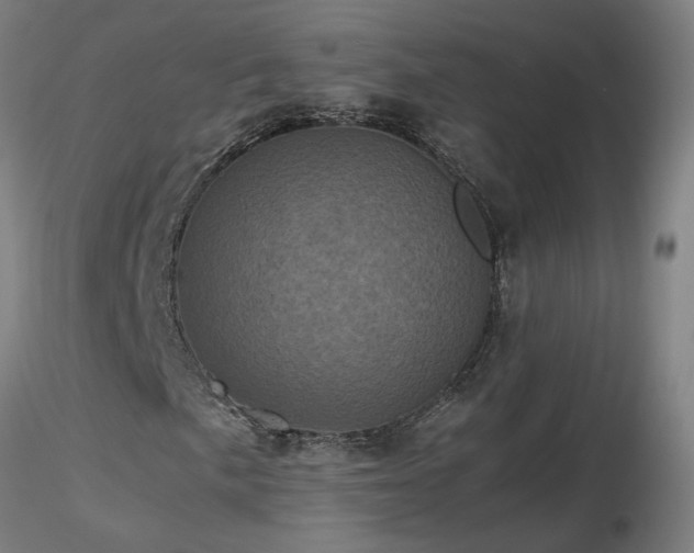 X0000116801057200912181313