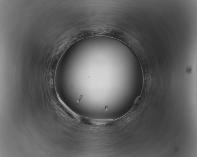 X0000116801058200912181312