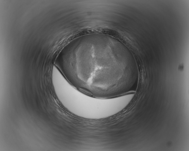 X0000116801060200912181312