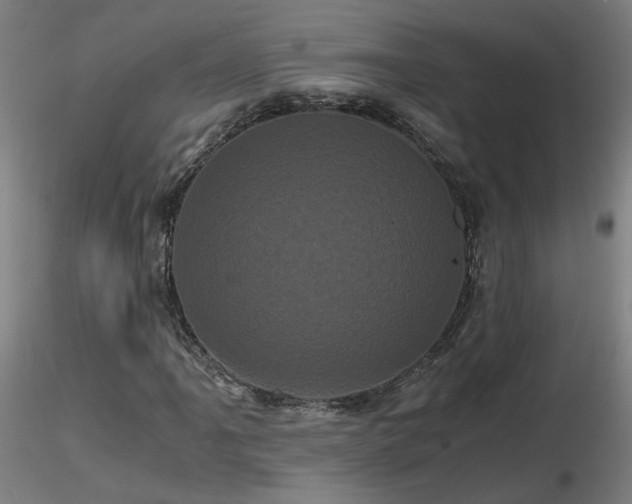 X0000116801061200912181312