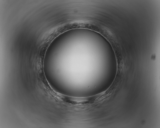 X0000116801062200912181312