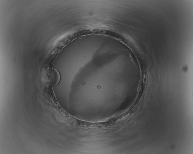X0000116801063200912181312