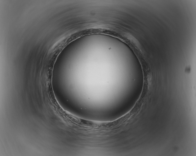 X0000116801064200912181312