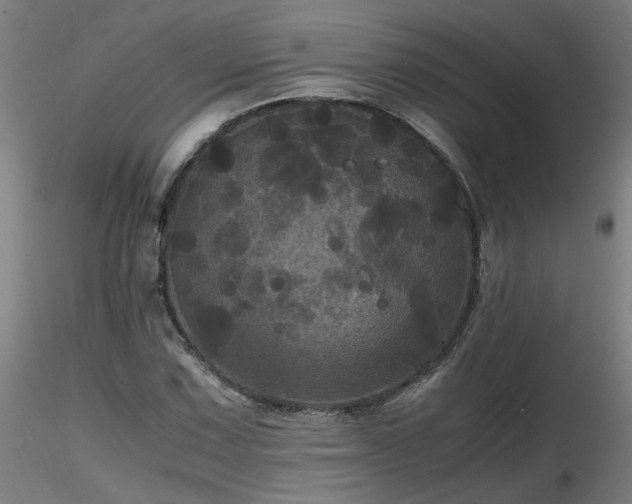 X0000116801067200912181312