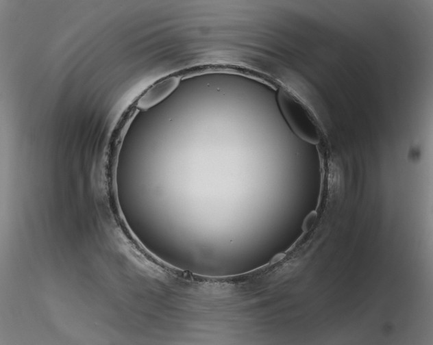 X0000116801068200912181312