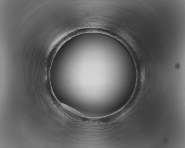 X0000116801069200912181312