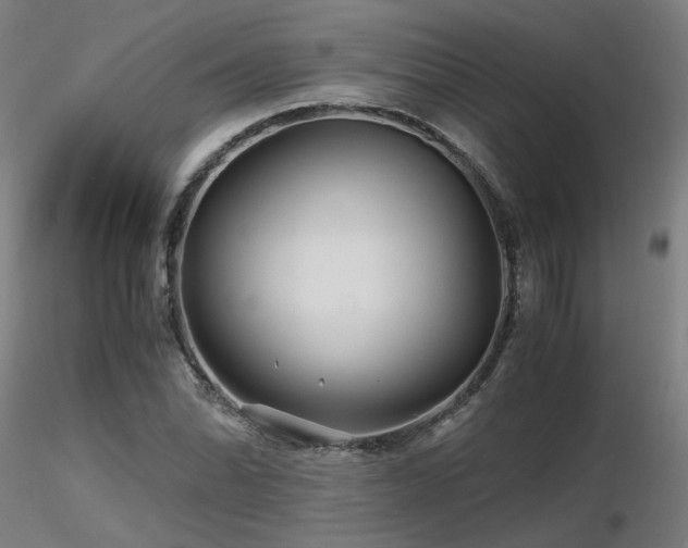 X0000116801070200912181312