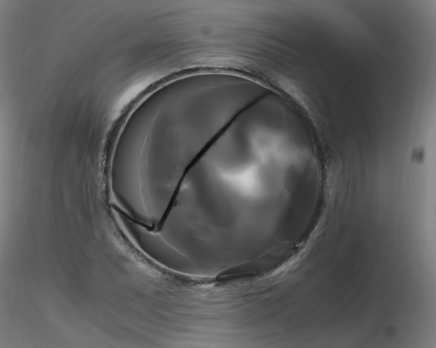 X0000116801071200912181312