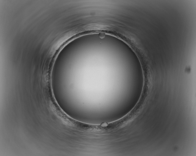 X0000116801073200912181312