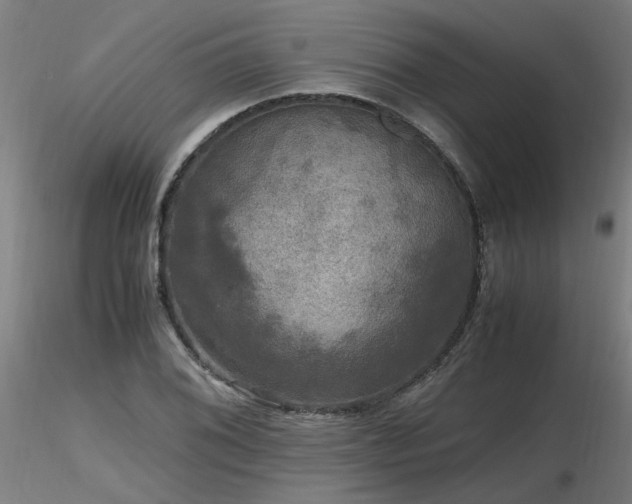 X0000116801076200912181312
