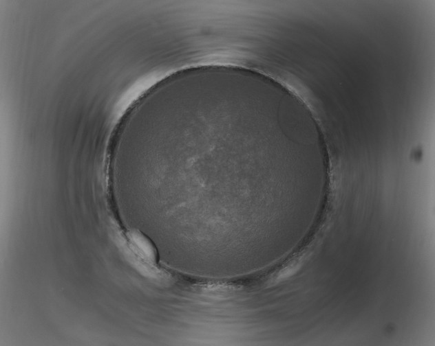X0000116801077200912181312