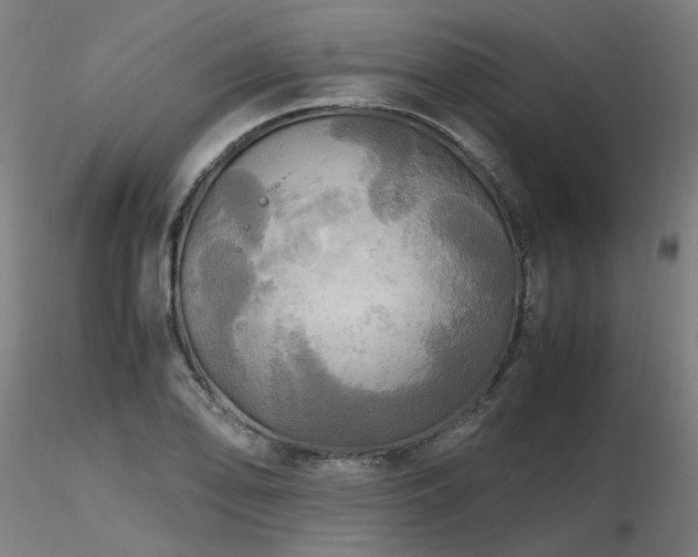 X0000116801078200912181312