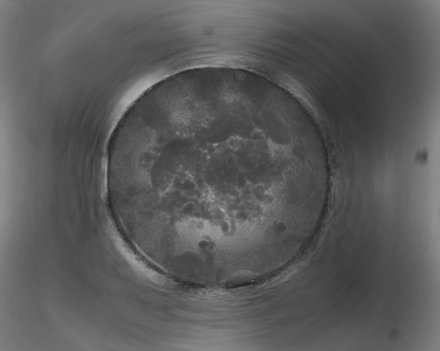 X0000116801079200912181312