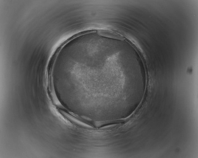 X0000116801080200912181312