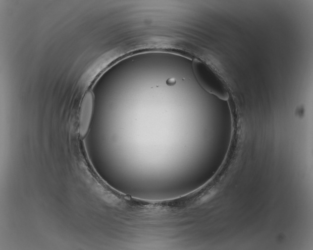 X0000116801081200912181312
