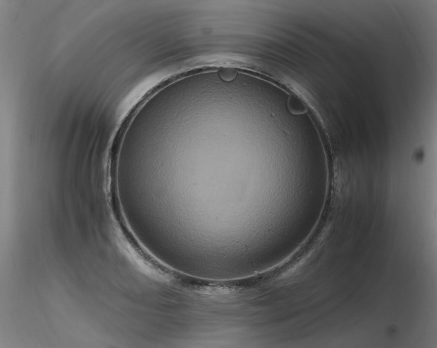 X0000116801082200912181312
