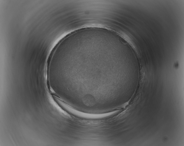 X0000116801084200912181312