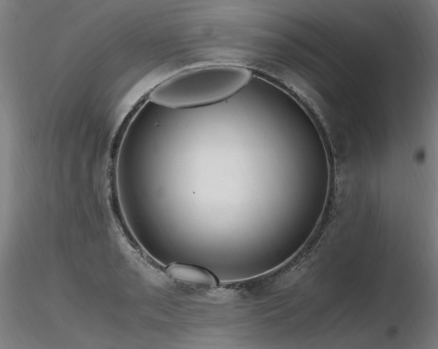 X0000116801085200912181312