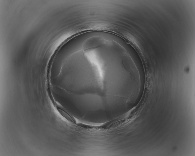 X0000116801087200912181312