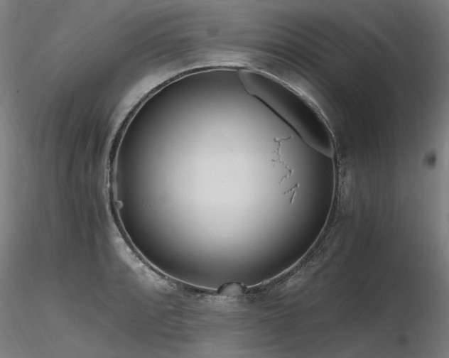 X0000116801088200912181312