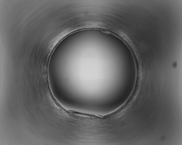 X0000116801089200912181312