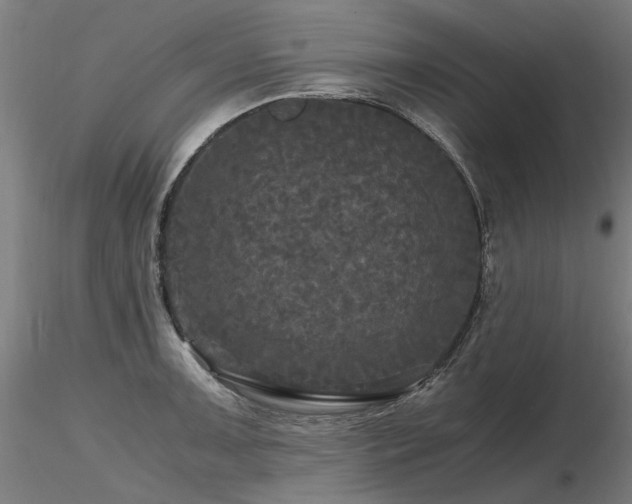 X0000116801091200912181312