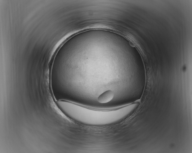 X0000116801092200912181312