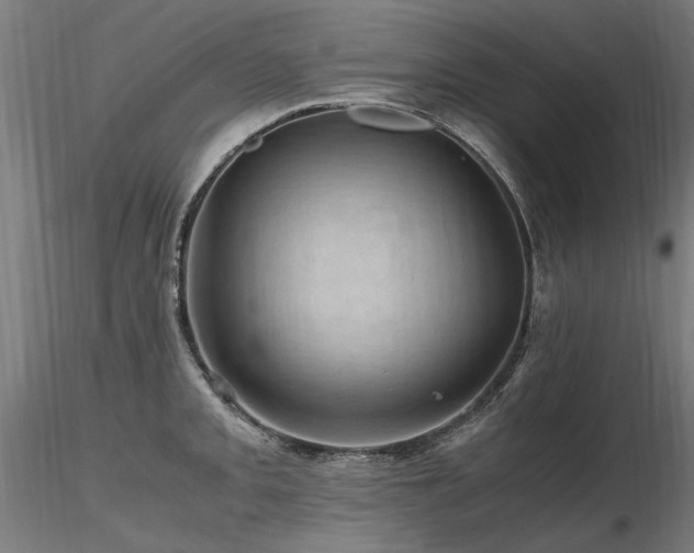 X0000116801093200912181312