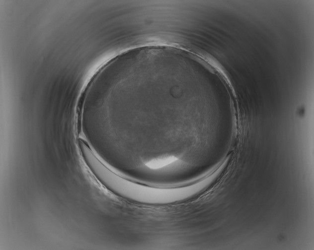 X0000116801096200912181312