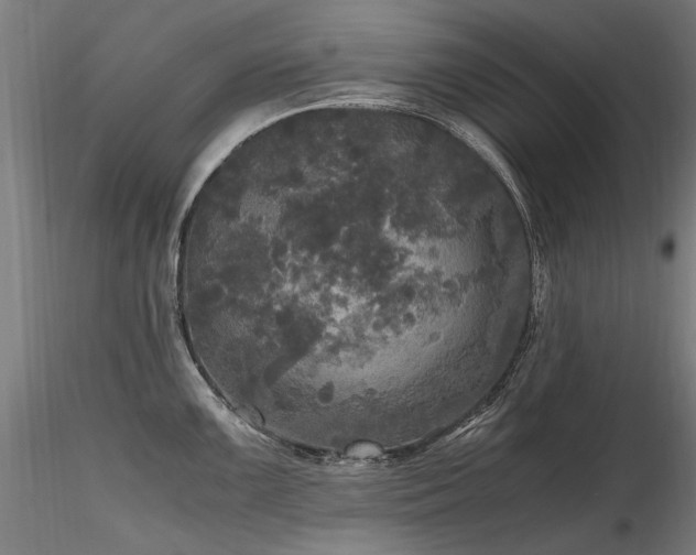 X0000116801099200912181312