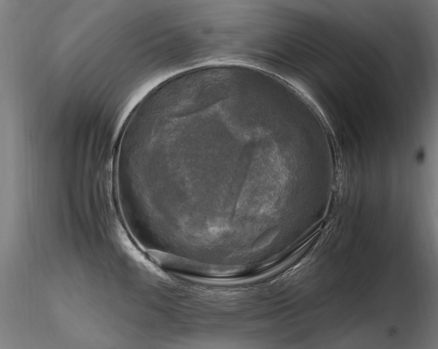 X0000116801100200912181312