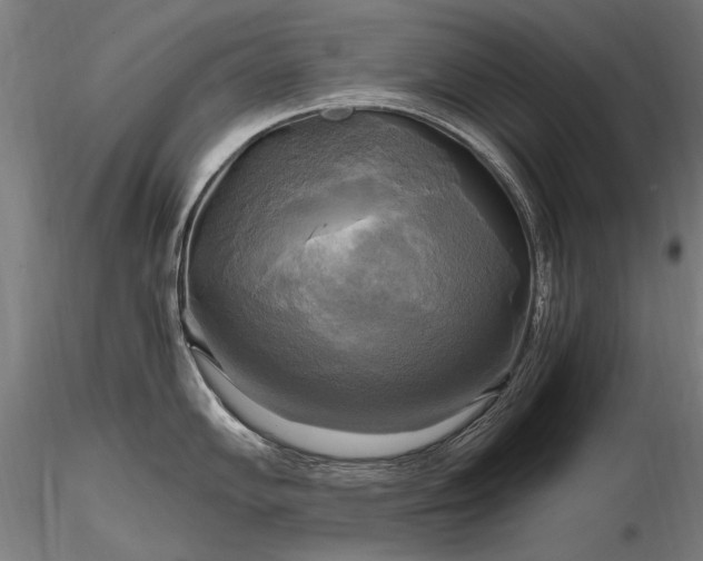 X0000116801102200912181312