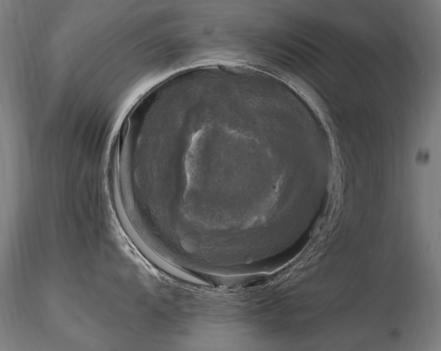 X0000116801104200912181312