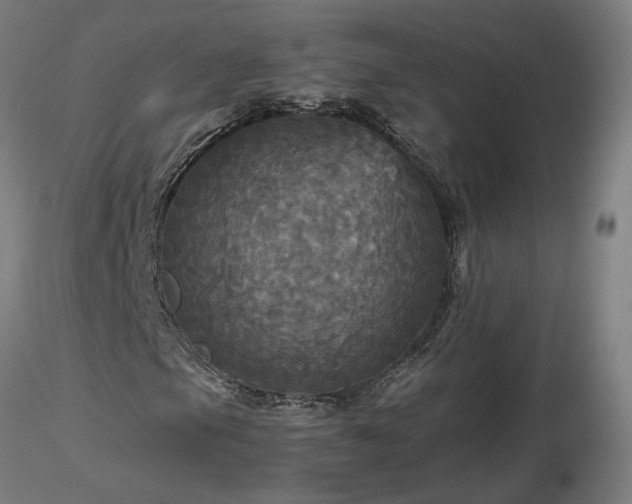 X0000116801105200912181311