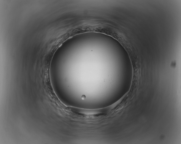 X0000116801109200912181311