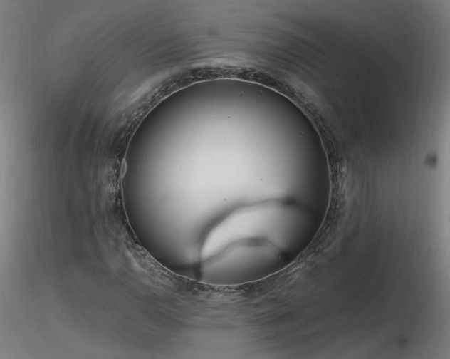 X0000116801110200912181311