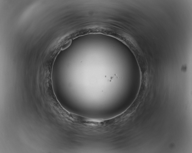 X0000116801111200912181311