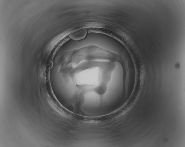 X0000116801113200912181311