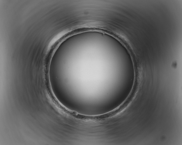 X0000116801114200912181311